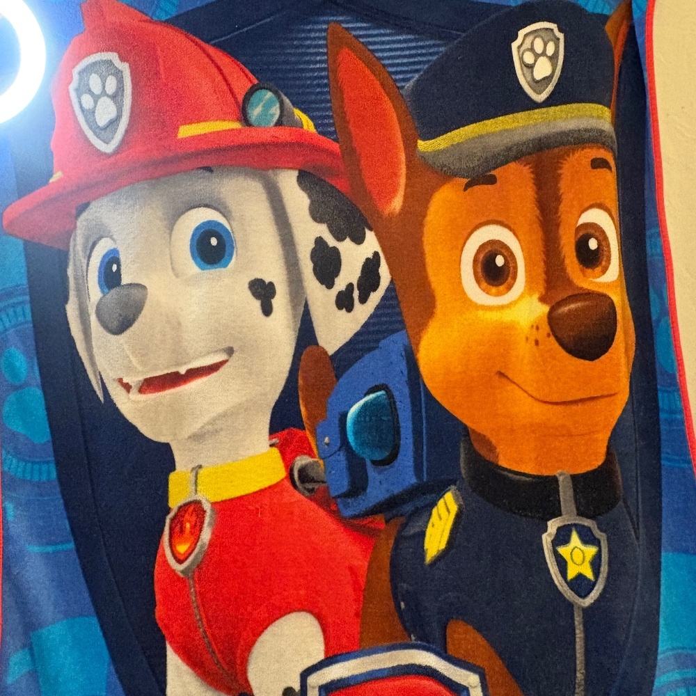 Nickelodeon Paw Patrol Fleece Throw Blanket Marshall & Chase 42"X 58" Cartoon